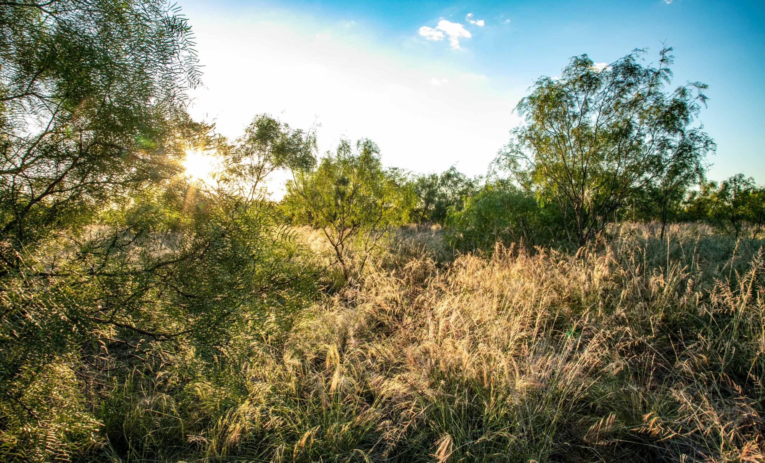 King County Nash Ranch Chas S. Middleton